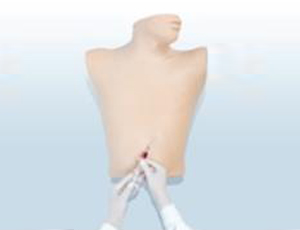 心包穿刺与心内注射仿真模型