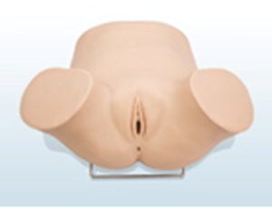 妇科分泌物检查训练模型