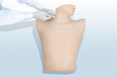 淋巴结穿刺仿真模型