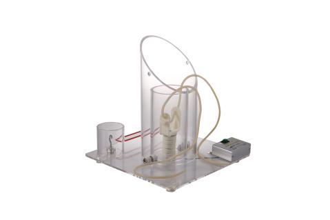 深部无张力结训练模型