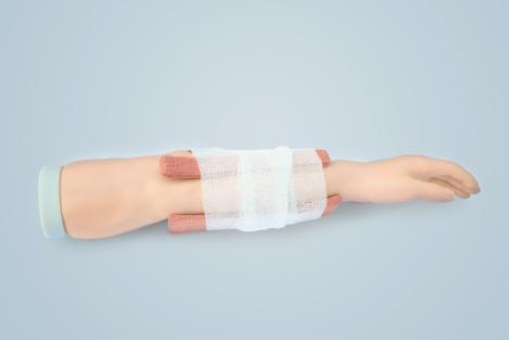 前臂骨折处理训练模型