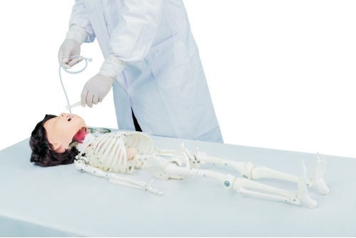 小儿透明洗胃及鼻饲模型