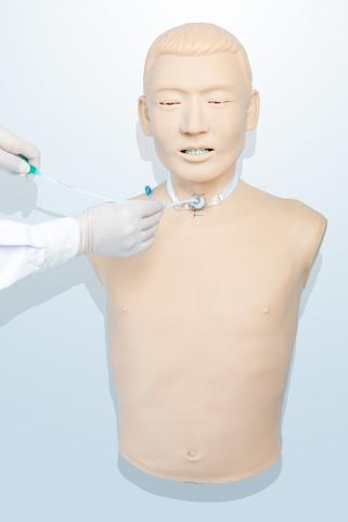 气管切开护理训练模型