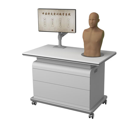 中医针灸实训教学系统-躯干版